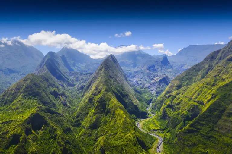 La réunion