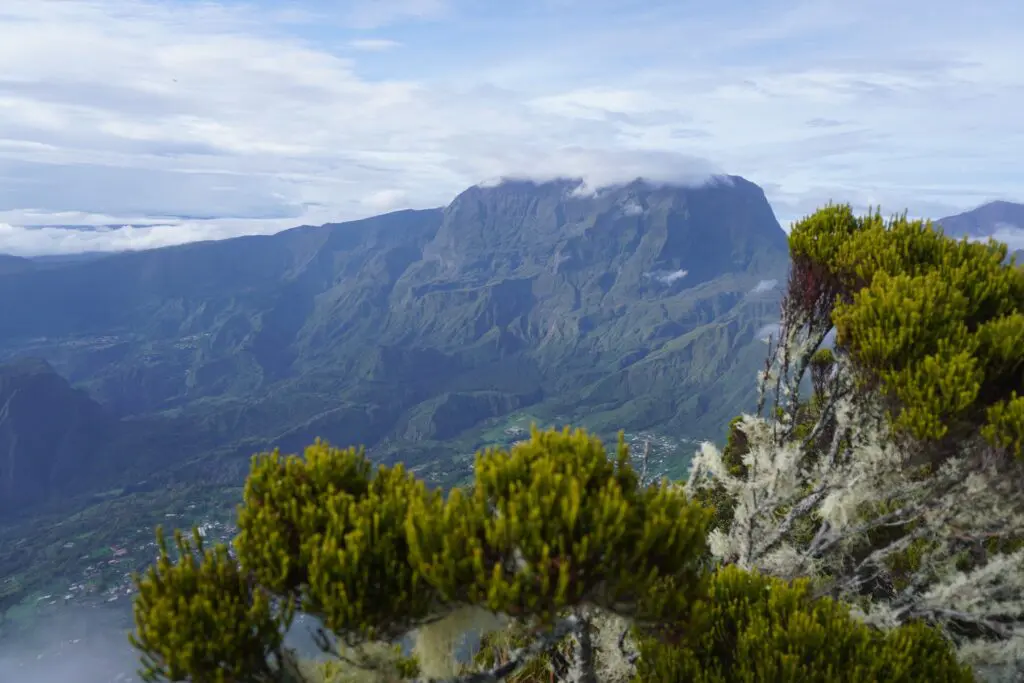 La réunion