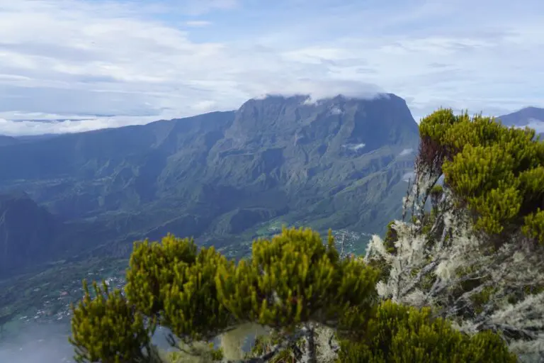 La réunion