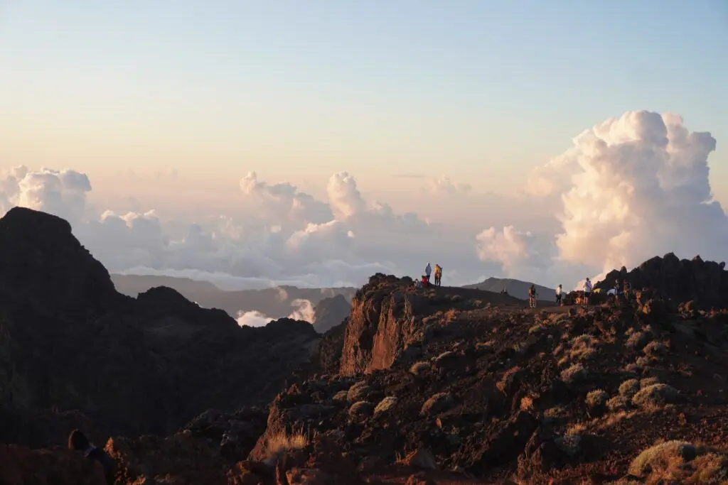 La réunion