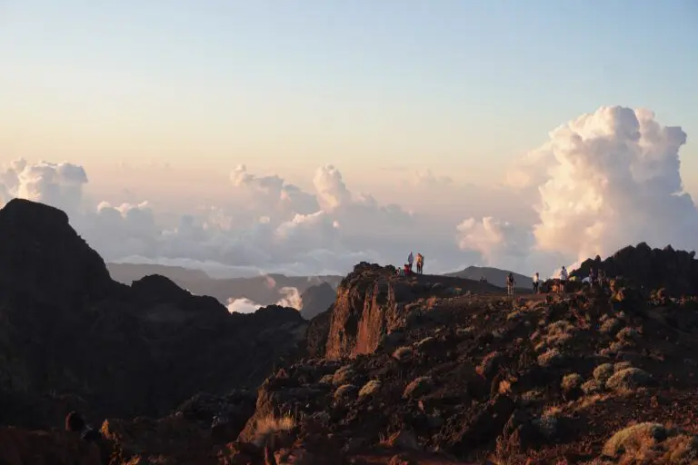 La réunion