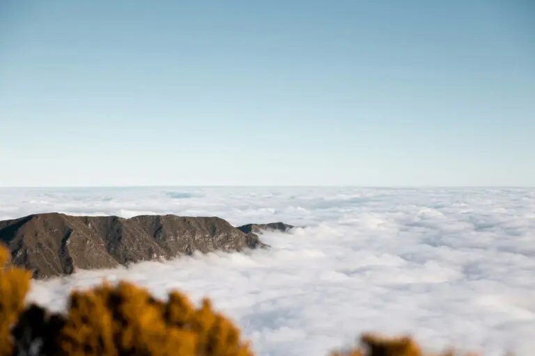 La réunion