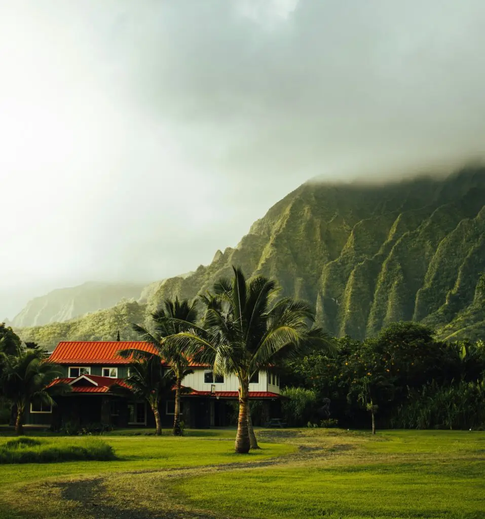 La réunion