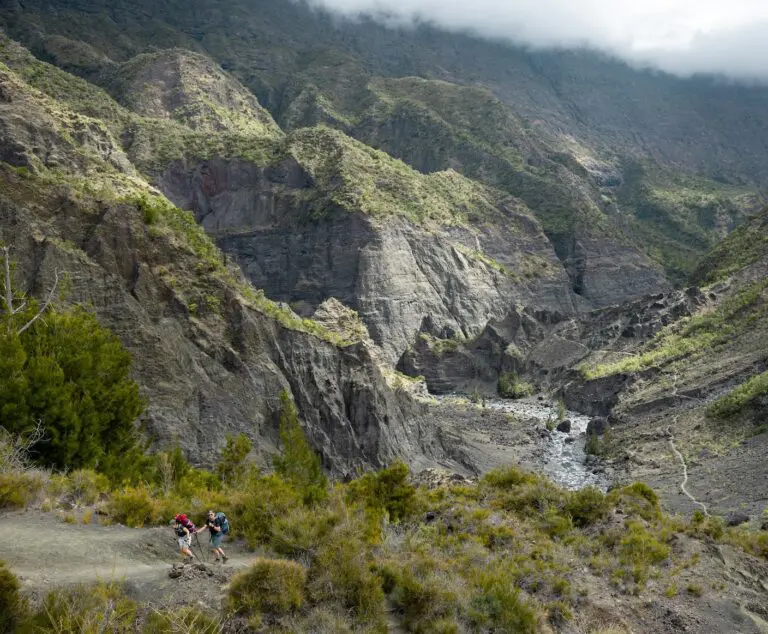 La réunion