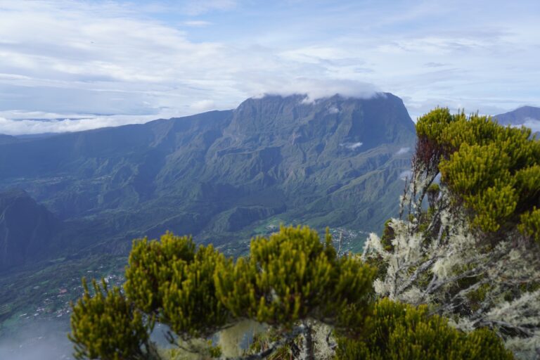 La réunion