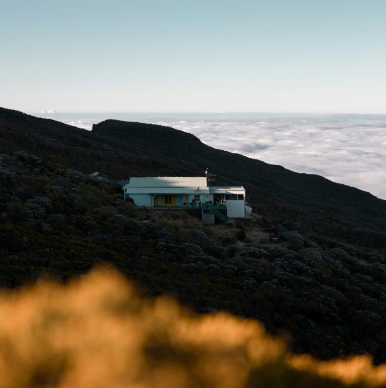 La réunion