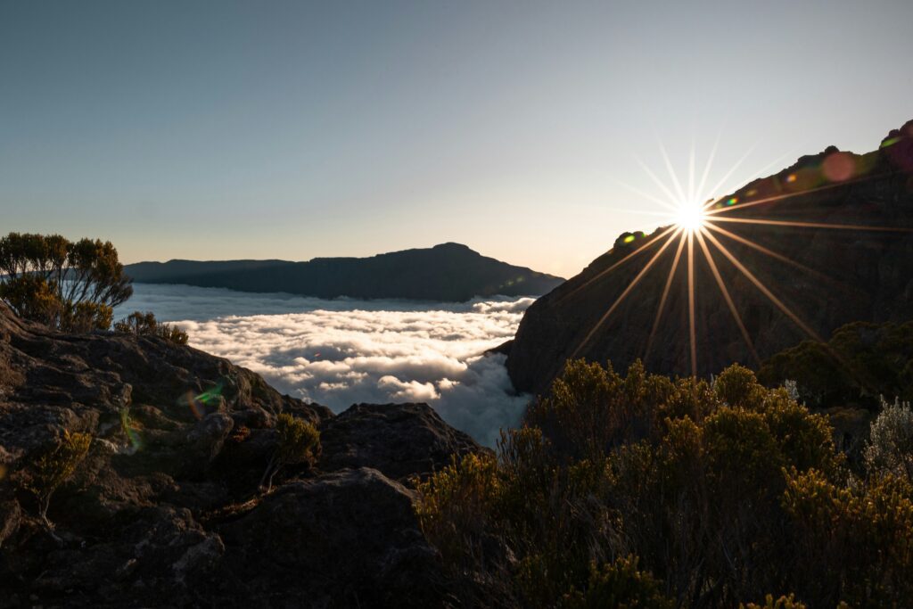 La réunion