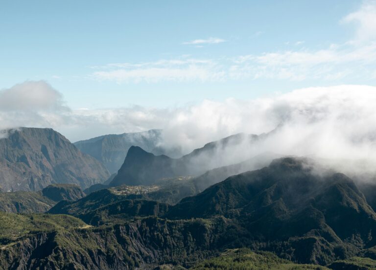 La réunion