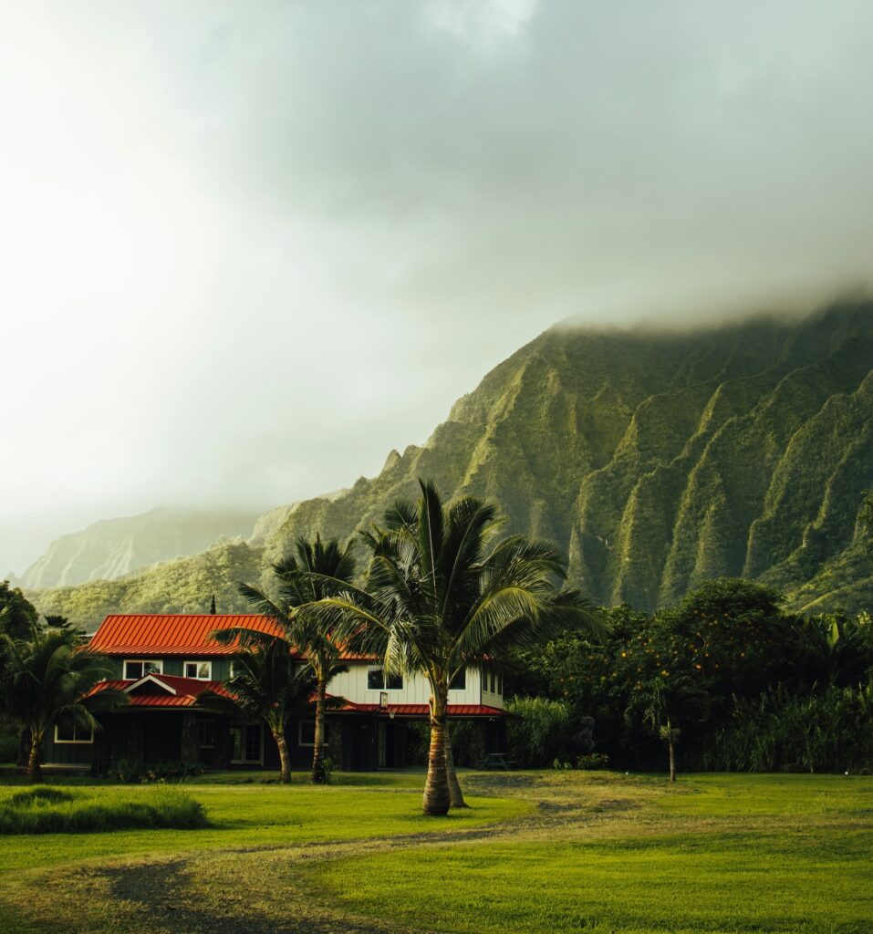 La réunion
