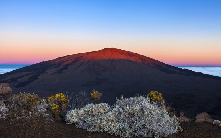 La reunion