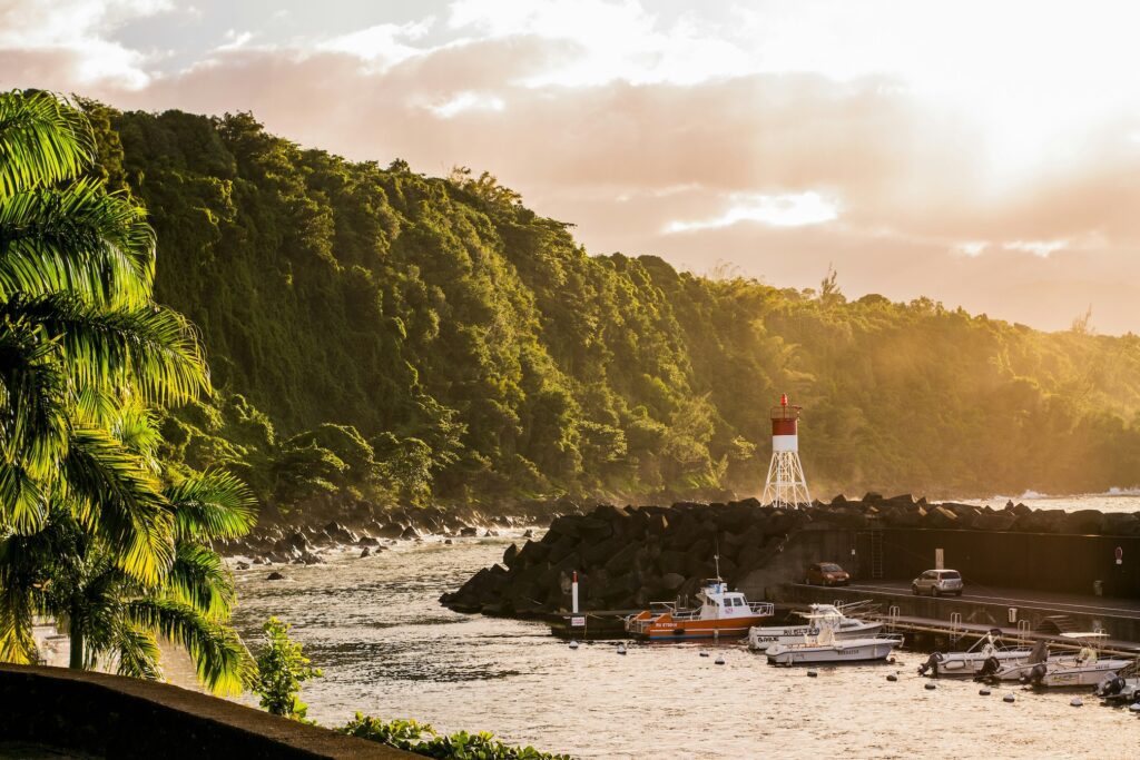 La reunion